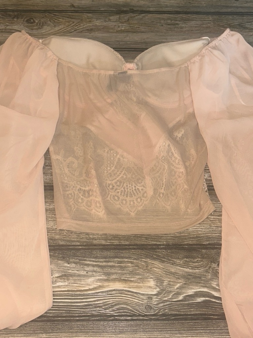 Windsor Blush Pink Lace Satin Bustier Top with Sheer Long Sleeves - Picture 3 of 4